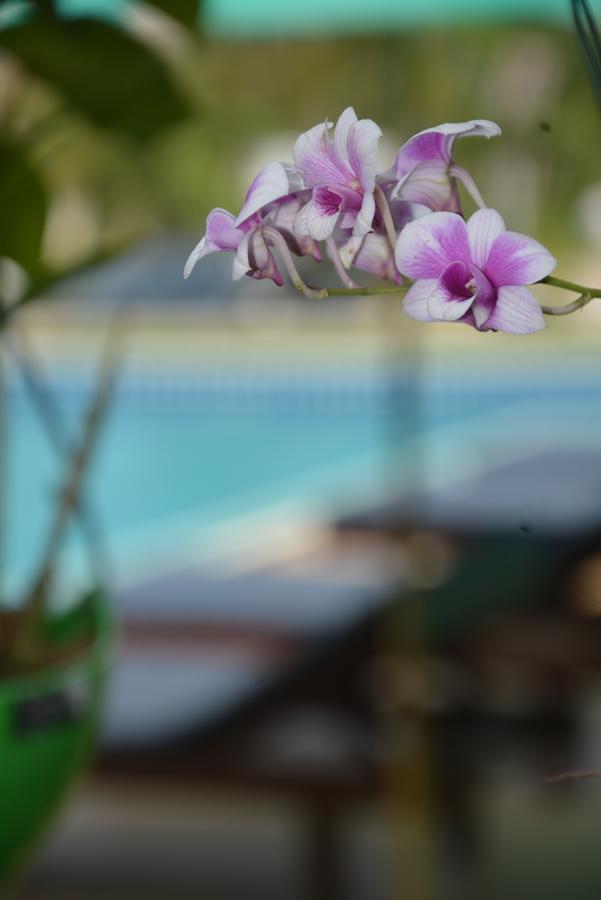 Apple Bungalows Bang Saphan Exterior foto
